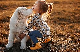 Petfestival è green: in Fiera cani, gatti, pony, furetti, asinelli, lama