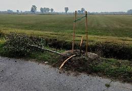  Vandali distruggono gli alberi sulla ciclabile della tangenzialina