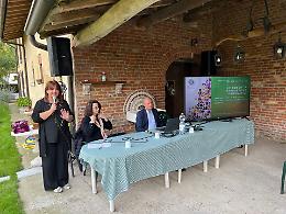Al via la Comunità energetica rinnovabile