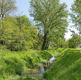 Incontro - Biodiversità per la nostra sopravvivenza