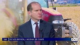 Estate infinita, l'agonia dei campi: al Tg1 Mattina Massimiliano Giansanti e Nicola Gherardi