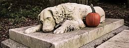 Cimiteri per animali domestici, una degna sepoltura per gli amici di casa