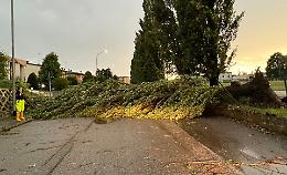 «Vialetti in sofferenza per i danni del meteo»