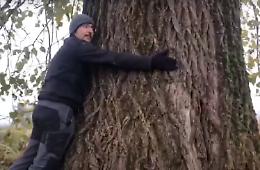 Appello verde: «Abbracciamo nonno pioppo»