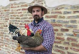 Dalla gallina all’anatra: ci sono le razze cremonesi