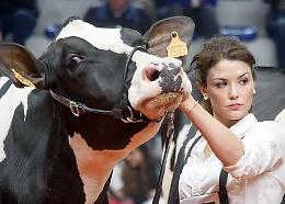 Fiera Zootecnica, dall'1 al 3 dicembre Cremona lancia la sfida alla crisi 