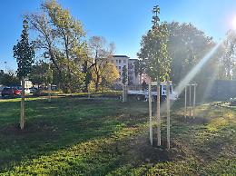 «Regala un albero alla tua città», messe a dimora 19 piante 