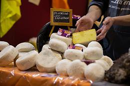 Il BonTà, dal riso a rischio di estinzione al pecorino con i pistilli di zafferano di Corciano