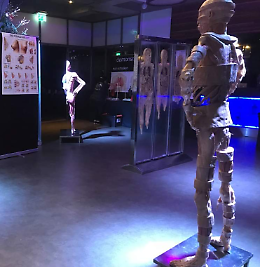 Mostra anatomica "Corpi Umani"