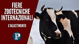 Fiere Zootecniche Internazionali di Cremona, la 77esima edizione in allestimento