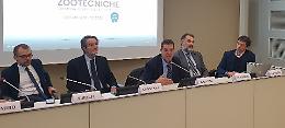 Fiere Zootecniche Internazionali, il ministro Lollobrigida al taglio del nastro