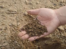 Giornata mondiale del suolo, risorsa essenziale per la vita sulla Terra