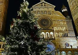 L’albero, le luci, il villaggio: da oggi Cremona è in festa
