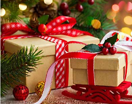 Natale Idee Regalo 2023 - Mostra mercato di Pizzighettone