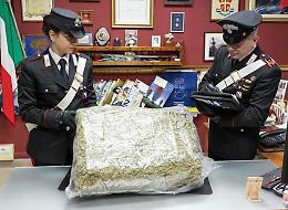 Acquista su web pastori per presepe ma arrivano 10kg marijuana