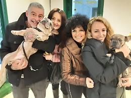 Cani sequestrati, iniziano a trovare una casa i 98 esemplari salvati