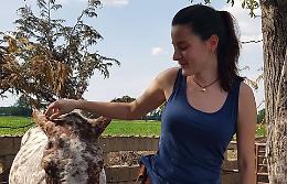 Oggi l'ultimo saluto a Elisa Caporali. La tragedia al maneggio