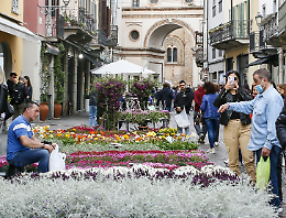 Crema tutta da vivere: calendario delle iniziative 2023, oltre 40 eventi