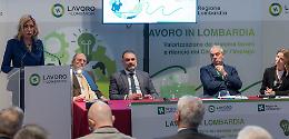 Lavoro, potenziati  i centri per l'impiego