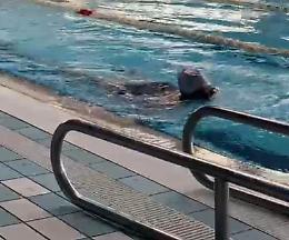 Una buona notizia: piscina comunale, dopo sei mesi stop alle barriere