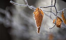 Torna l'inverno: temperature in picchiata