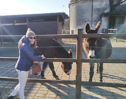 Fieno in abbondanza all’Isla de Burro