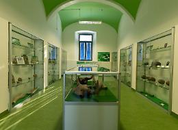 I tesori restituiti dal Po: inaugurata la mostra