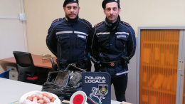 Prodotti in cattivo stato e lavoro nero: maxi multa al negozio di ortofrutta