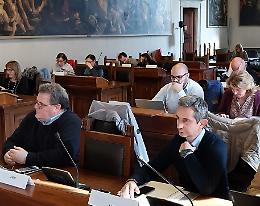 Covid, medaglia d'oro e veleni: il premio divide