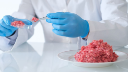 Stop al cibo sintetico: «Così si tutelano salute e qualità alimentare»