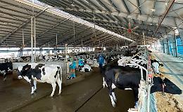 La grande zootecnia green, il modello Pieve Ecoenergia