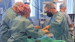 Donazione degli organi: crescono i sì, al Maggiore 14 prelievi