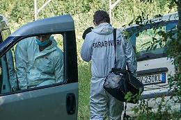 Runner morto in Trentino, forse ucciso da un animale