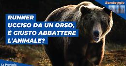 Runner ucciso da un orso: natura pericolosa o uomo invadente?