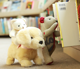 Evento "Una  notte in Biblioteca"