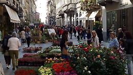 Le Invasioni Botaniche: fiori, piante, orti e raffinato artigianato