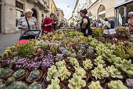 Le Invasioni Botaniche, benvenuto autunno! La quinta edizione al via