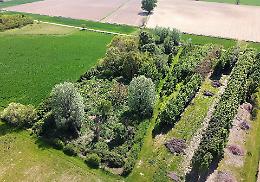 Nell'ex discarica di Castelfranco d'Oglio spuntano rarità botaniche
