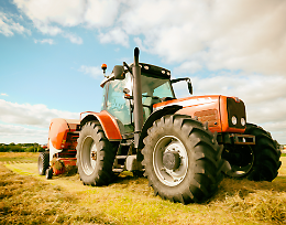 40' Fiera Agricola della pianura Bergamasca
