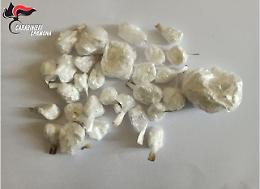 Droga abbandonata: i Cc trovano un sacchetto con 70 grammi di coca in una siepe