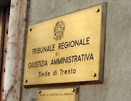 Orsa Jj4: Tar Trento sospende ancora l'abbattimento
