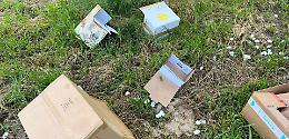 Rifiuti gettati nell’erba in un'area verde: beccato e multato