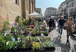 Fiori e sapori, quando la bellezza sboccia in città