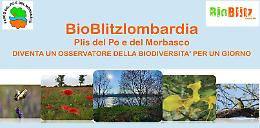 Sabato 20 maggio “BioBlitz” nel Parco del Po e del Morbasco