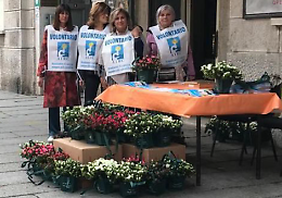L'Azalea della Ricerca nelle piazze per la festa della mamma