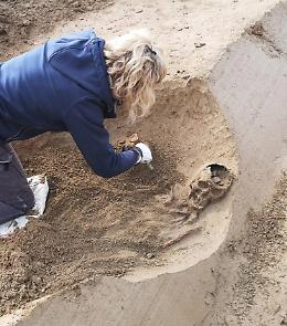Gazzuolo. Spuntano tombe dell’Età del Ferro a Belforte