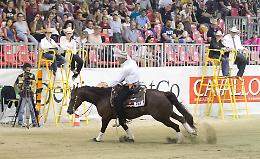 CremonaFiere, torna il Salone del Cavallo