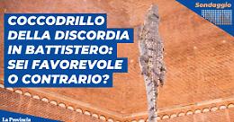 In Battistero il coccodrillo della polemica: sei d'accordo o contrario?