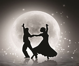 Liscio sotto le stelle