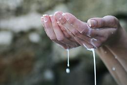 Giornata Mondiale del Latte, gli allevatori: produrlo significa garantire vita